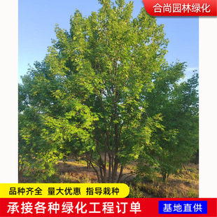 3���օ�����Ǘ����� ��֦�� �������Ǘ����l ��Ҏ�����t������