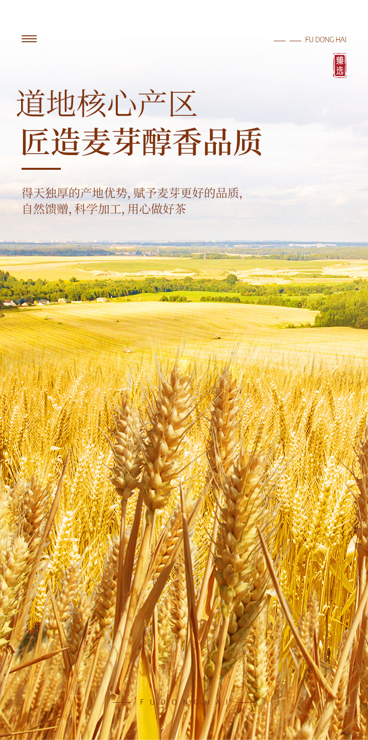 [Details page] Fried malt 500g bag FDH01010643_04