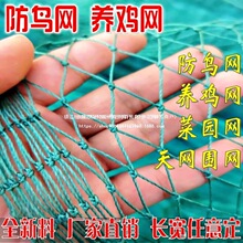 �W���B�u�W�����Bֳ�W�o�ھW�W�ׇ������W�ˈ@�r�u�W�u�Wɽ�u