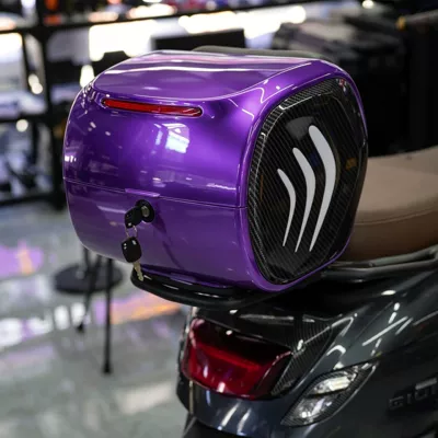 Alien Water Transfer Print Magic — Motorcycle trunk