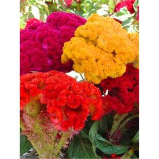 �u�ڻ��N���҃����Pβ����׷N����ֲ���ļ����N�_���̨ͥԺ����