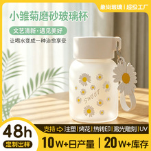 小雏菊玻璃杯可爱迷你水杯高颜值小清新便携胖胖杯活动礼品杯子