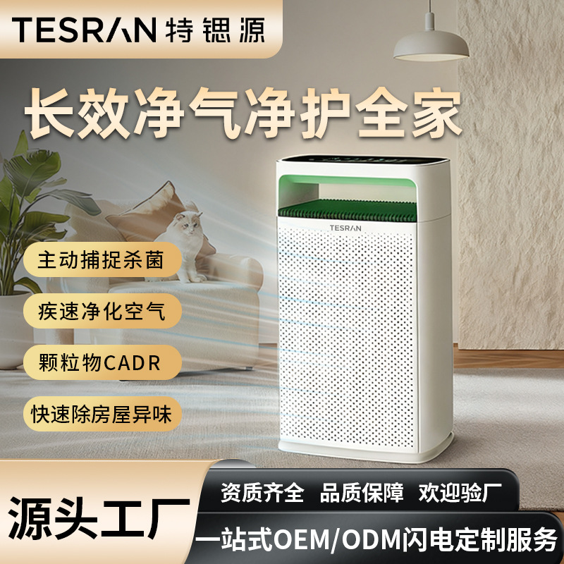 Special Strontium Source Air Purifier Negative Ion Sterilization Formaldehyde Removal Filter Customized Intelligent Silent Deodorizer Cross-Border