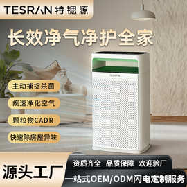 特锶源空气净化器负离子杀菌除甲醛过滤器定制智能静音除味器跨境