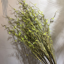 仿真云龙柳 柳枝仿真叶子花艺配材柳芽柳支枯枝线条花艺家居装饰