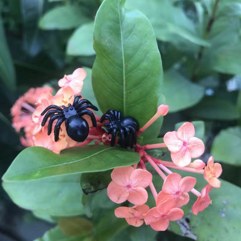 460e1fa86cb64939502609b90f658b