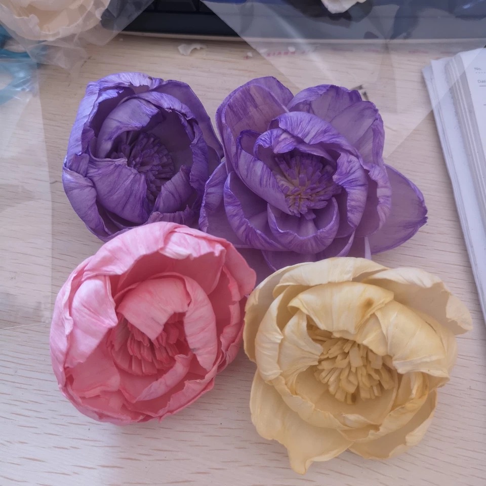 微信图片_20210524164841