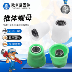 椎体のナットは錐のモジュールの錐型のナットのプラスチックの円錐のナットの止水のスクリューを登ってセットしてナットを接続します。