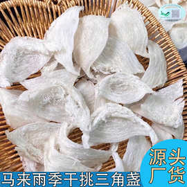 马来西亚雨季燕窝批发干挑三角盏孕妇滋补鲜炖金丝燕干挑燕窝