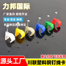 ���l�طN�ᔾ������Ͽ��ۏS�ҹ܊A 16�ܿ�Դ�^늾��̶����ӈA��