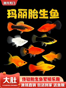 ̥���~���w�����~��ˮ�^�p�~�����ֳ��ĸ��ȸ������С�͟Ꭷ�~