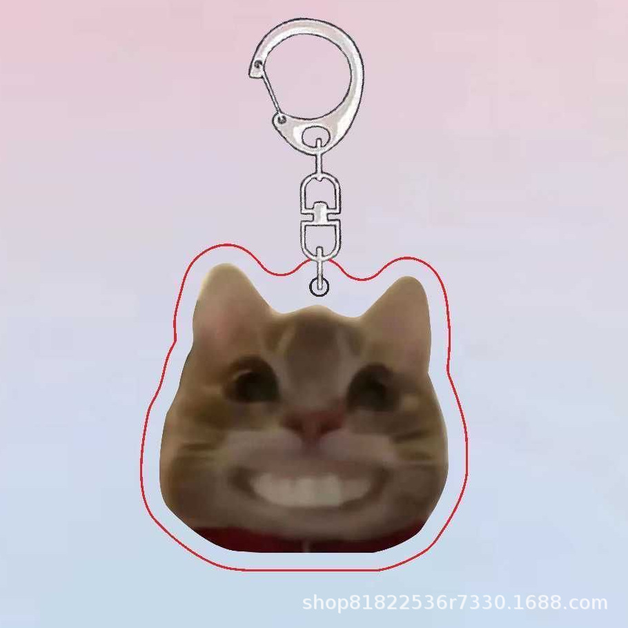 투약 고양이 B6667