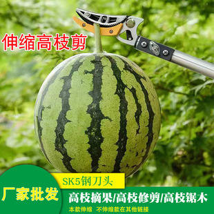 Telescopic High-Branch Pruner, Fruit Picking Tool, Gardening, Grain Harvesting, Multi-Functional Long-Handled Portable Lightweight Pruning Tool