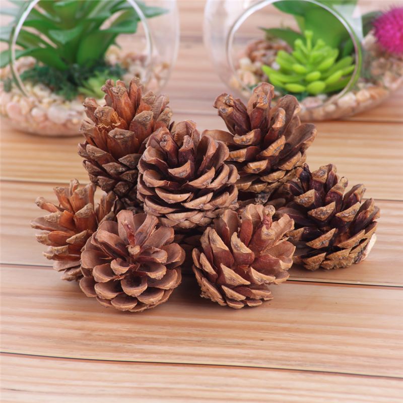 Cross-Border 4cm Natural Pine Cones, Pack of 6, Christmas Decoration Supplies, Christmas Tree Ornaments, Natural Pine Cones for Scene Arrangement