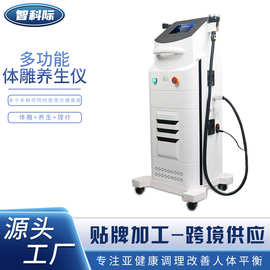 隔空纤体仪塑摩瘦形减型养生仪体雕仪产后修复理疗刮痧美容院专用