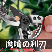 �ձ�ԭװ���ڹ���԰����֦������֦������������֦����������
