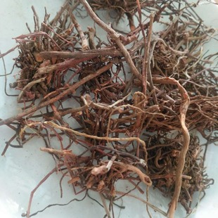 ����Դ����ș�����ɽ���t��ݮa��ֱ����NҎ���|؛Դ