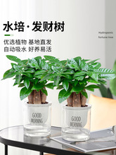 ˮ��lؔ��С����ֲ���k���҃����Uԭ����ؔ���B�辰���ܾGֲ�[��