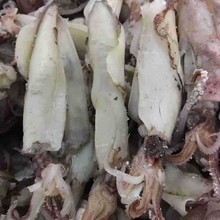 ���r��؛���ßoɳ��ζ�I�B���aƷ���|���ɺ��øɃ��������~��ī�~