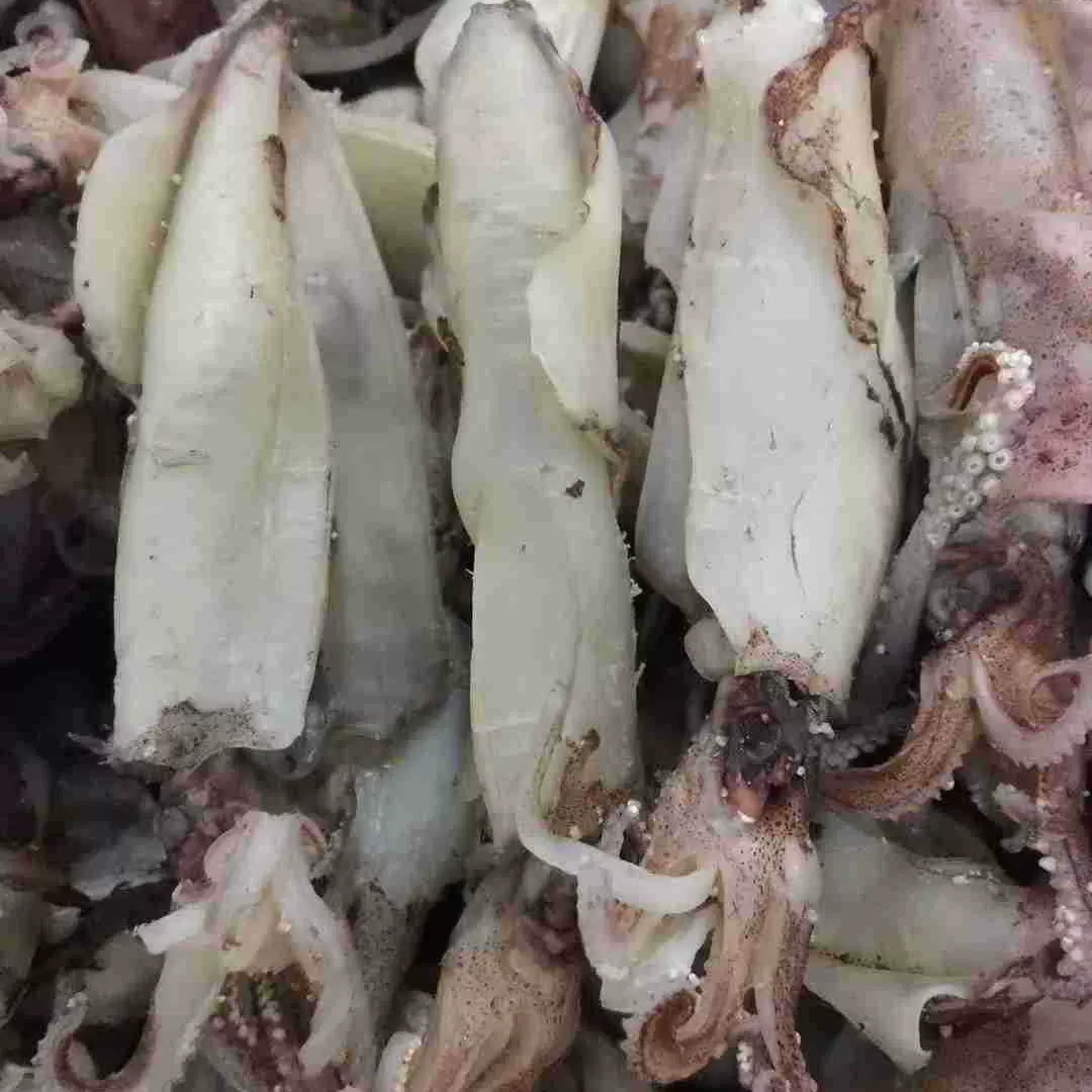 海鲜干货海兔无沙海味营养海产品优质淡干海兔干净淡干鱿鱼仔墨鱼