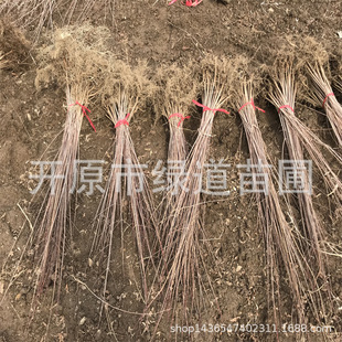 ��l�����l�������Ǘ��I�B�����l��С�煲�����Ǘ�����