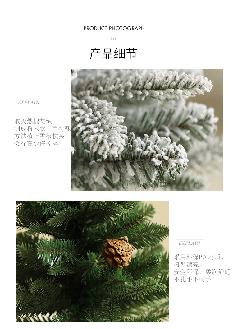 750_05.jpg