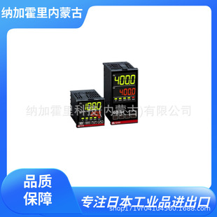 RKC Physical and Chemical Industry Digital Indicator Regulator RZ-SERIES FZ-SERIES RB-SERIES