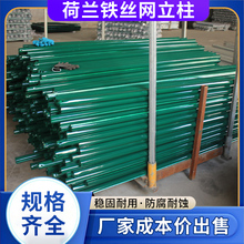 荷兰网立柱铁丝网围栏立柱护栏防护网立柱养鸡养殖网刺绳燕尾柱子