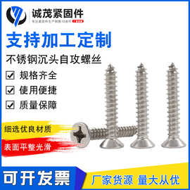 304不锈钢自攻螺丝十字沉头螺丝木螺钉加长平头木螺丝加长螺丝钉