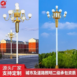 太阳能灯;道路照明灯;路灯