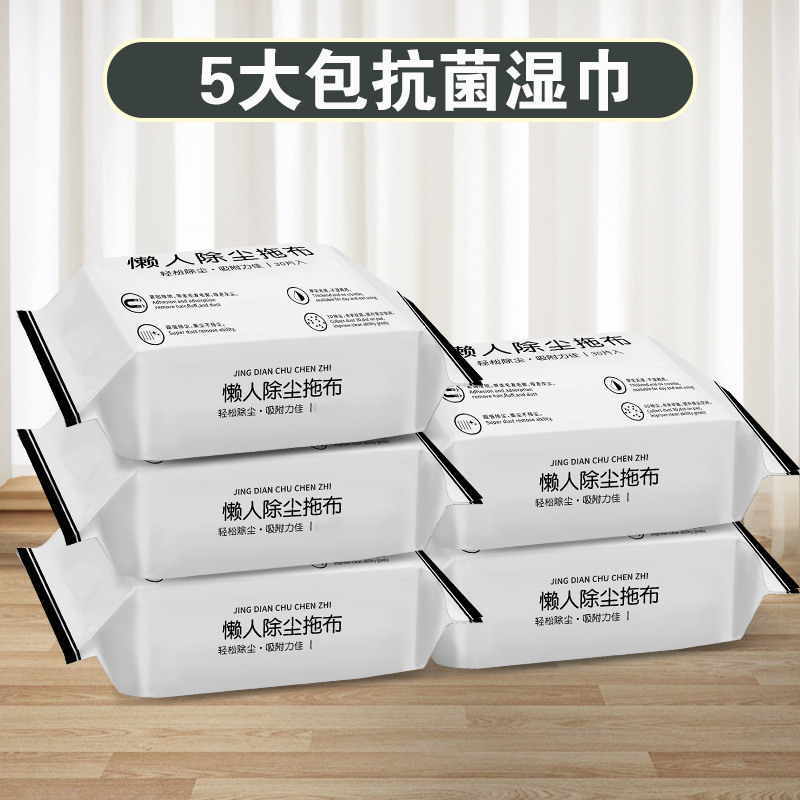 리필: 항균 물티슈 대형 팩 5개