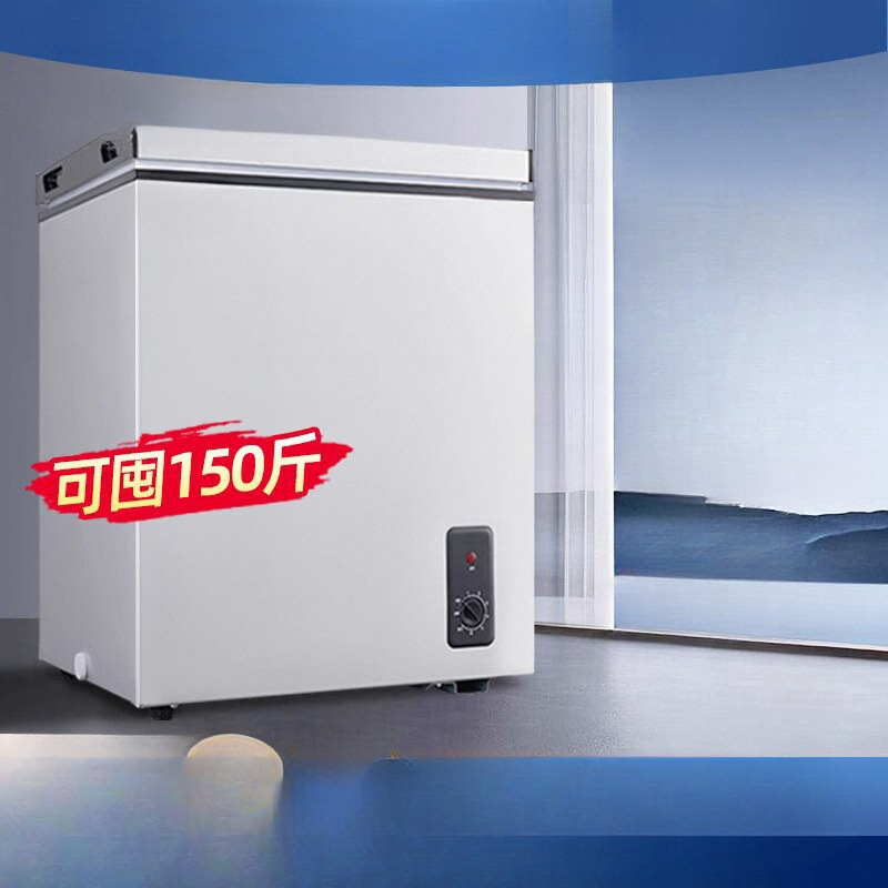 Small Freezer Household Small Refrigeration and Freezing Dual-Purpose Commercial Large-Capacity Freezer Mini Horizontal New Model