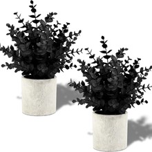 �ɂ�������������[���A�����{����ȼ����Gֲ�辰ֲ����滨