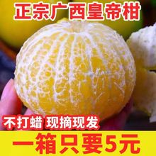 廣柑正宗現摘新鮮水果柑砂糖橘子橙應季沃柑桔子批發價