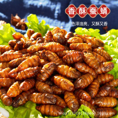 【香ばしいお酒】山東特産の香ばしい蚕のさなぎは高蛋白で栄養が豊富で、新鮮なお酒は噛むほど香りがいいです。