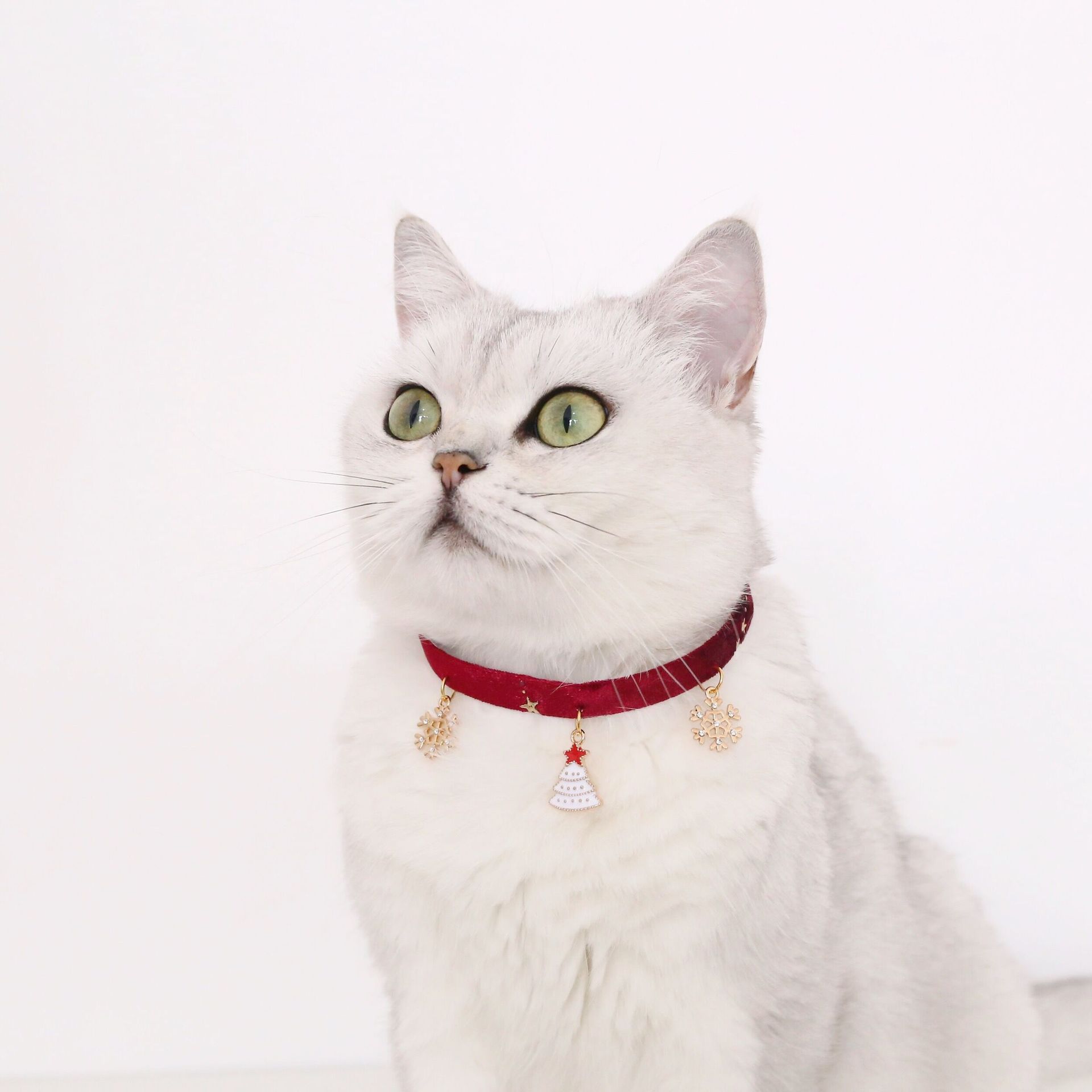 QQ图片20210813114826