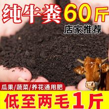 ţ�S�l���ЙC�ʷN����60���̨�B���Gֲ����ͨ�ø�����S����