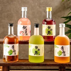 500ml梅见果酒瓶子透明磨砂玻璃酒瓶带盖高颜值青梅酒分装空酒瓶