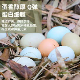 怡博士新鲜土鸡蛋正宗农家散养新鲜鸡蛋柴鸡蛋草鸡蛋笨30枚土鸡蛋