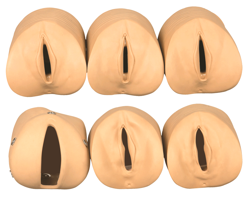 Model of Prenatal Cervical Changes and Their Relationship with the Birth Canal, Maternal and Child Skills Training Model