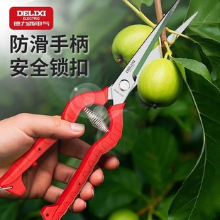 Delixi Gardening Scissors, Pointed Mouth Fruit Picking Scissors, Pepper Picking Scissors, Greenhouse Fruit and Vegetable Scissors, Long Mouth Scissors Tool