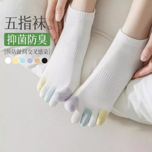 ��ָ�m��Ů���ļ�����͸���ǹ�ɫ��ֺ�_ֺ�m��������������m�T��