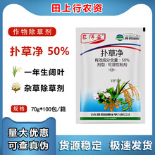 �GҰ50%��݃� �󶹸���ˮ�����Բ�@�޻� ��~�s���rș���݄� 50