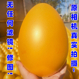 Golden eggs wholesale a whole box of lottery to do activities factory direct smashing prize stall blind box toy opening company annual meeting