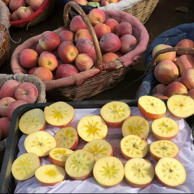 新疆阿克苏冰糖心苹果丑苹果当季脆甜多汁爽口现发5斤8斤中大果|ru