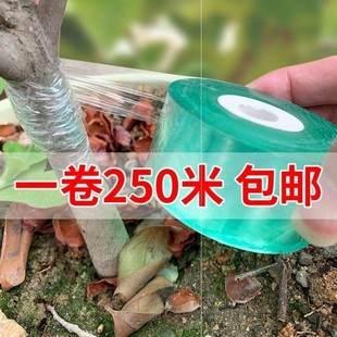 Glutinous Rice Paper Grafting Film Planting Belt, No-Disassembly, Self-Degradable Rose Long-Lasting Golden Apple Fruit Tree Gardening Shaping