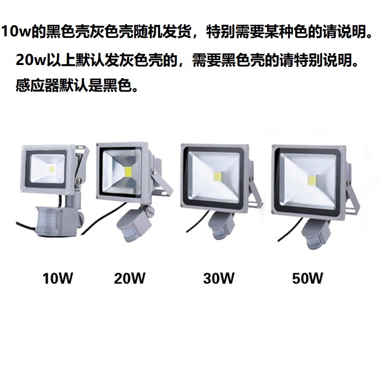 Human induction lamp 12v24v36v48vled projection lamp fence courtyard tunnel lamp 10w20w30w100w