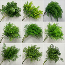 GֲJ횲ݻYˇ쾰׾Gɭϵcb廨