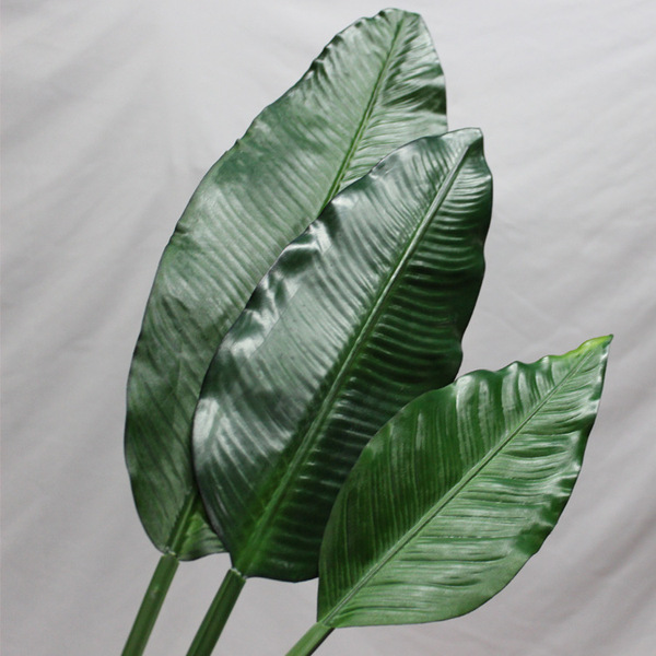 Simulated bird of paradise leaves