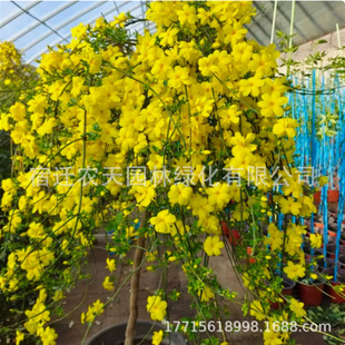 ӭ���������B�N���䅲�����֧����ͥԺ�̨���Ժ�߅�G����������